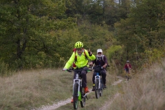 IMGP1182