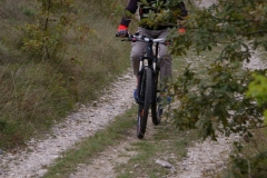 IMGP1218