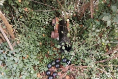 Une cache