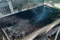 BBQ_2021-9