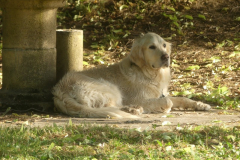P1050470