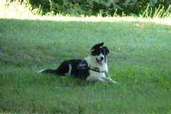 BBQ_2023-39