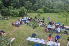 BBQ3-34