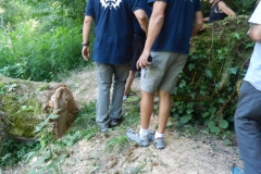 Barbec_-Event-63