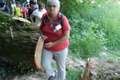 Barbec_-Event-64
