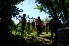 Barbec_-Event-72