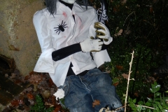 Clair de lune #8 Le pirate inconnu (2)
