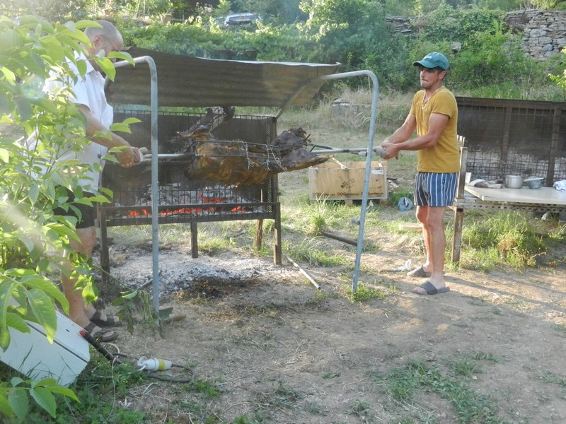 BBQ_2026-14