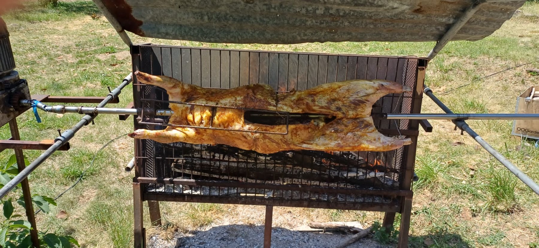 BBQ_2026-23